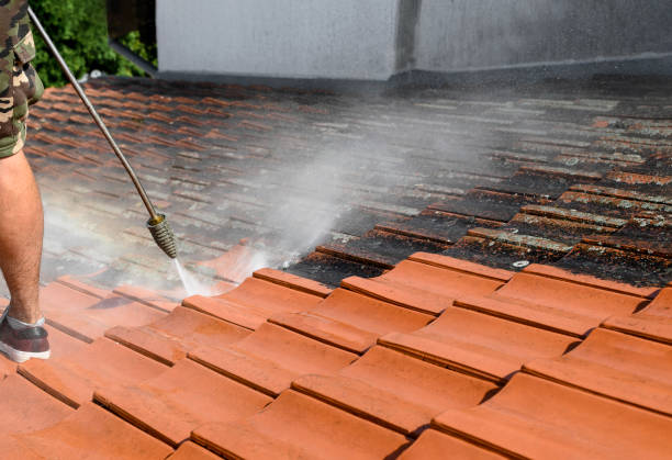 Best Power Washing Near Me  in Vicksburg, MI