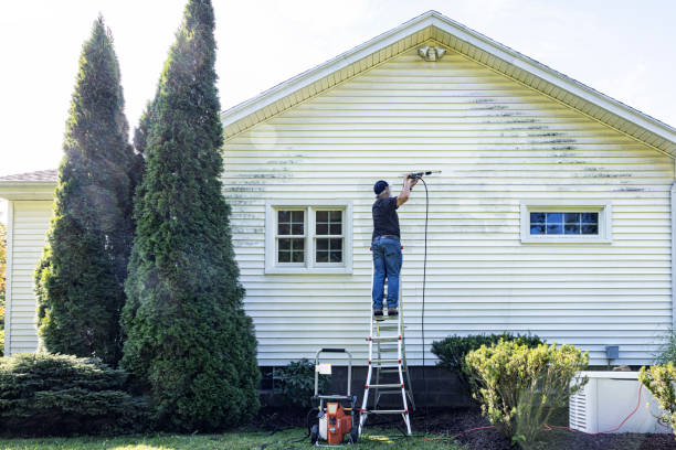 Best Fence Pressure Washing  in Vicksburg, MI