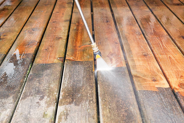 Best Fence Pressure Washing  in Vicksburg, MI