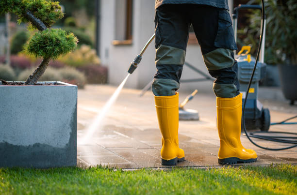 Best Deck Cleaning Services  in Vicksburg, MI